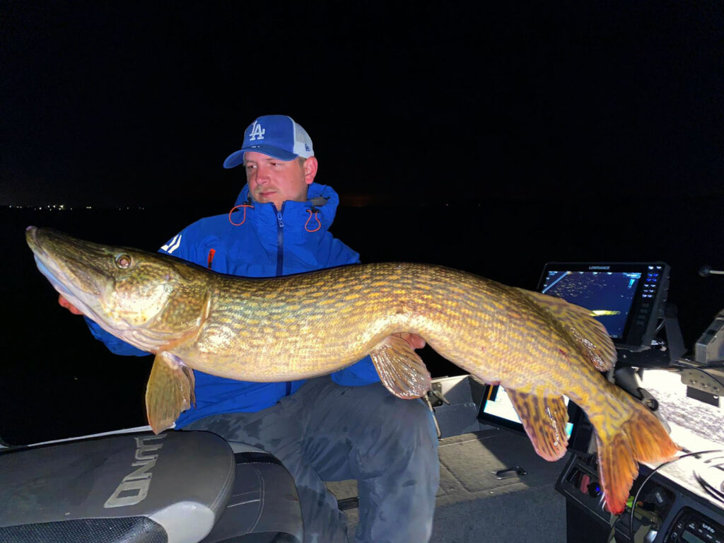 Giant pike on a perch session!